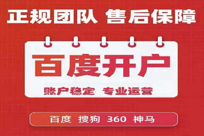 SEM优化策略：案例解读成功之道